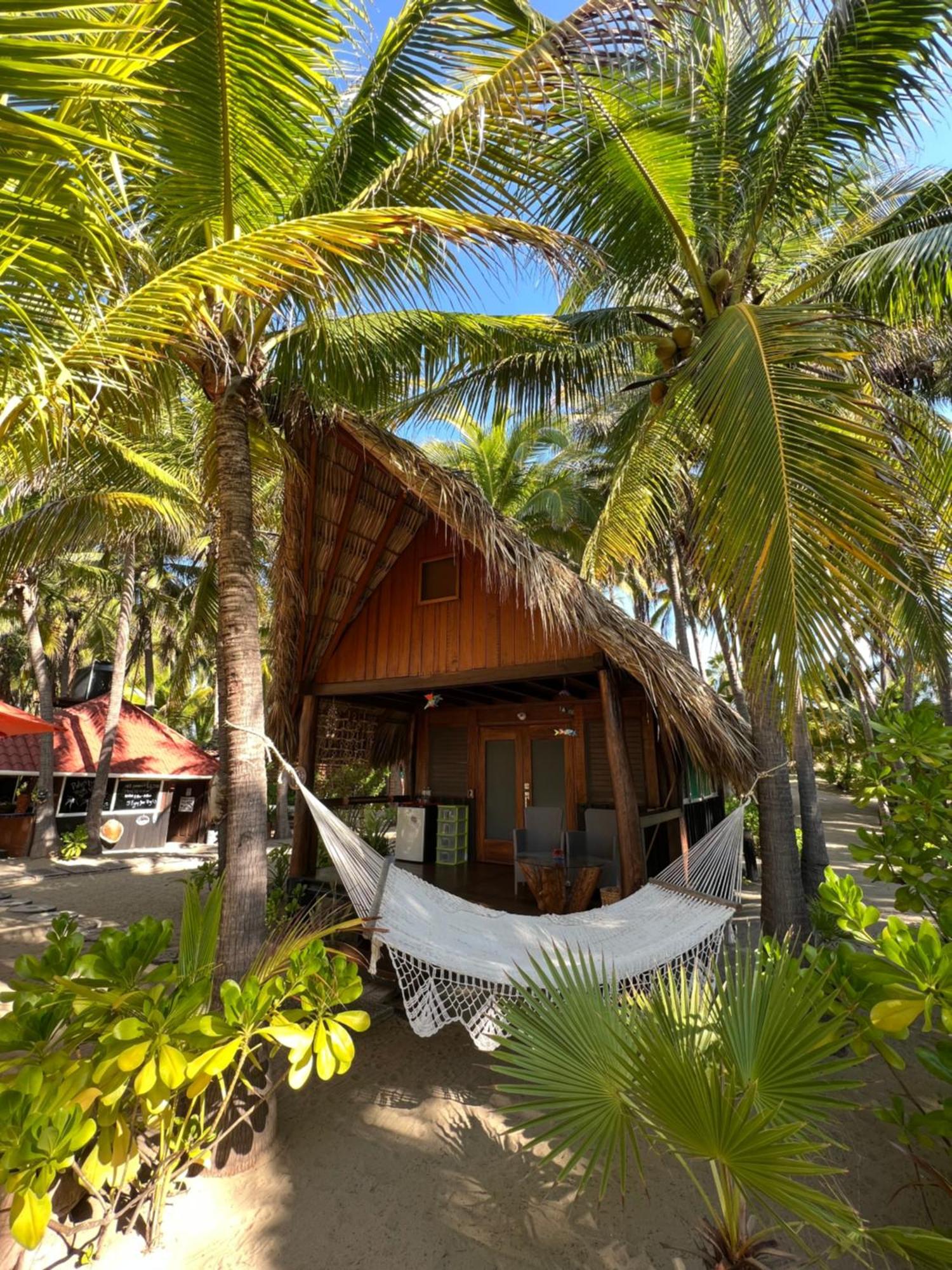 Bungalows Tree Tops - Adults Only Zihuatanejo Exterior foto
