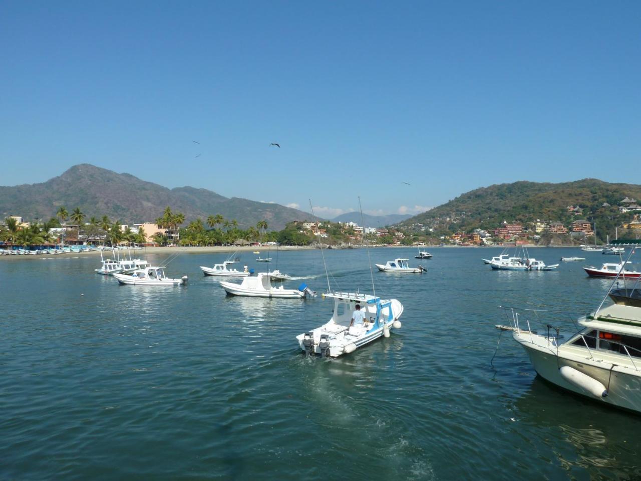 Bungalows Tree Tops - Adults Only Zihuatanejo Exterior foto
